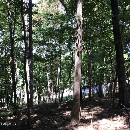 $29,500 | L23 R Maple Crest, Unit 23R, Greeneville, TN 37743