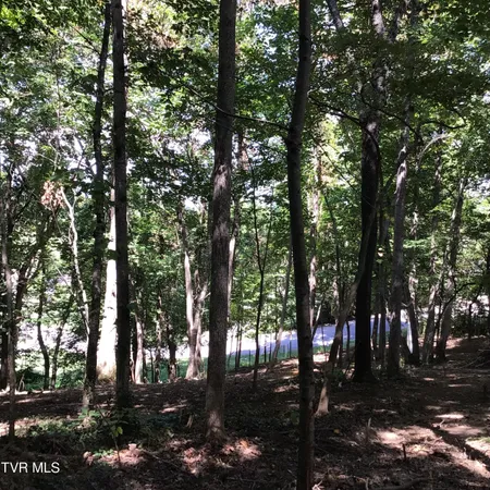 $29,500 | L23 R Maple Crest, Unit 23R, Greeneville, TN 37743