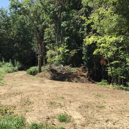 $29,500 | L23 R Maple Crest, Unit 23R, Greeneville, TN 37743