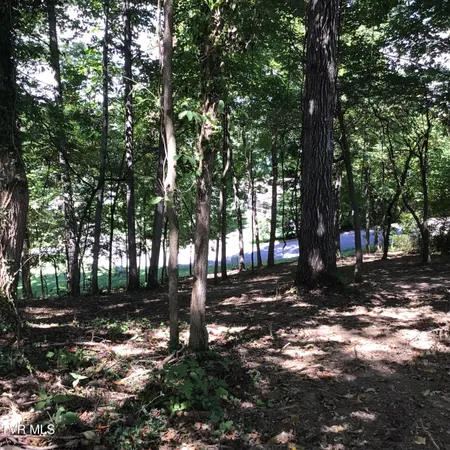 $29,500 | L23 R Maple Crest, Unit 23R, Greeneville, TN 37743