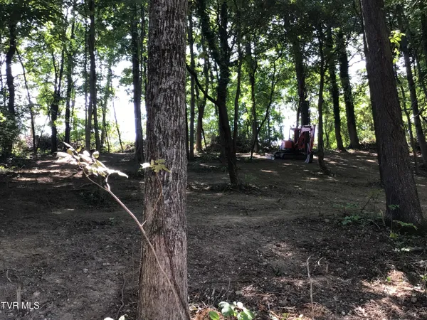 $29,500 | L23 R Maple Crest, Unit 23R, Greeneville, TN 37743