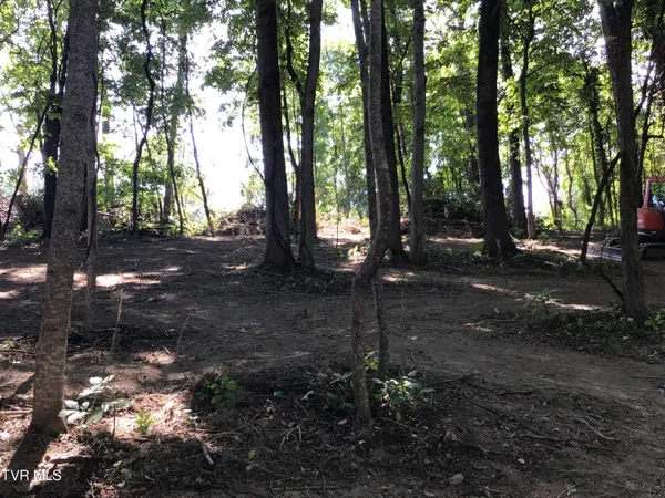 $29,500 | L23 R Maple Crest, Unit 23R, Greeneville, TN 37743