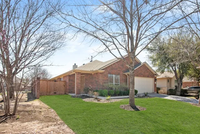 a backyard of a house with potted plants and large tree