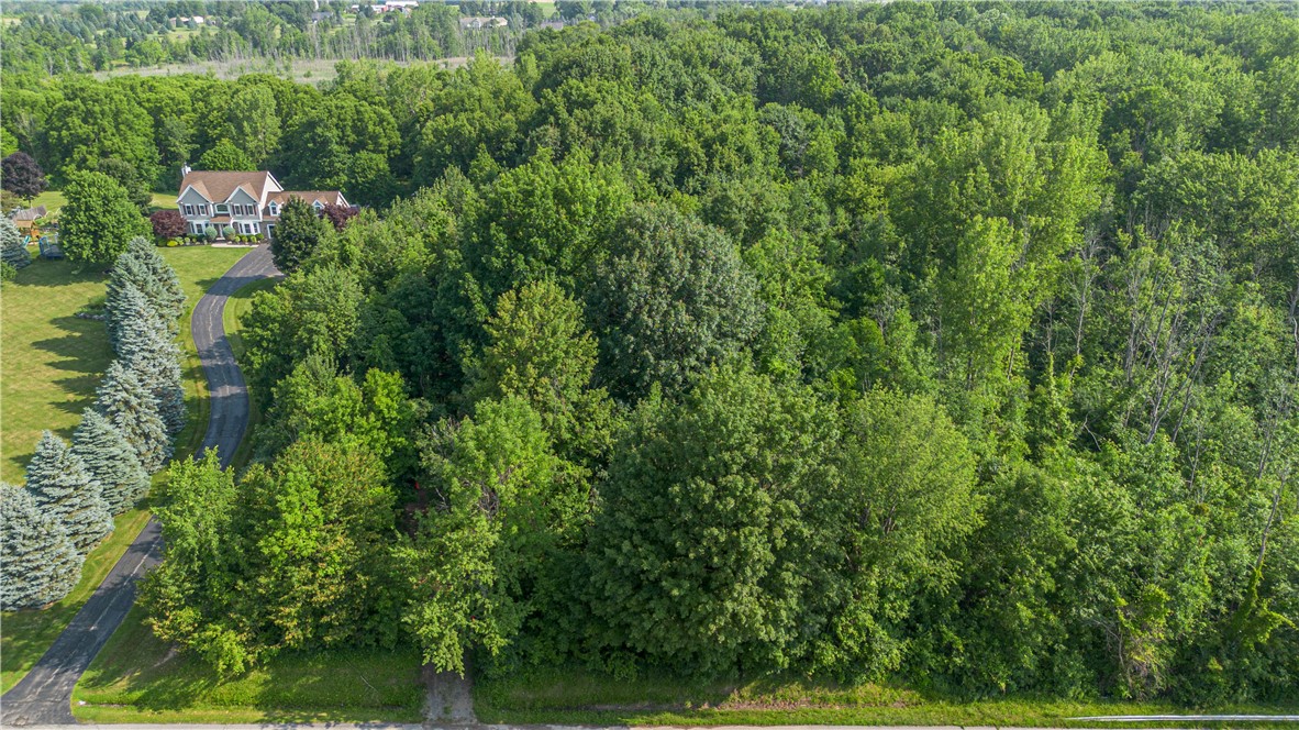 2120 Whitney Road East Perinton, NY 14450 - Photo 1 of 8