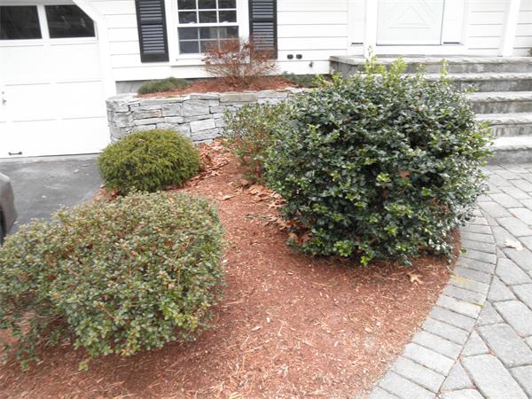 35 Burnham Road Billerica, MA 01862 - Photo 19 of 22 Gallery Image 19
