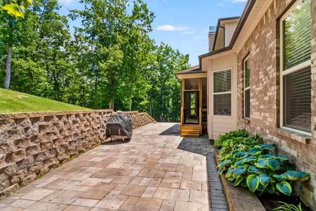 a view of a backyard with potted plants