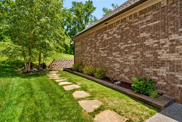 a view of a yard with potted plants