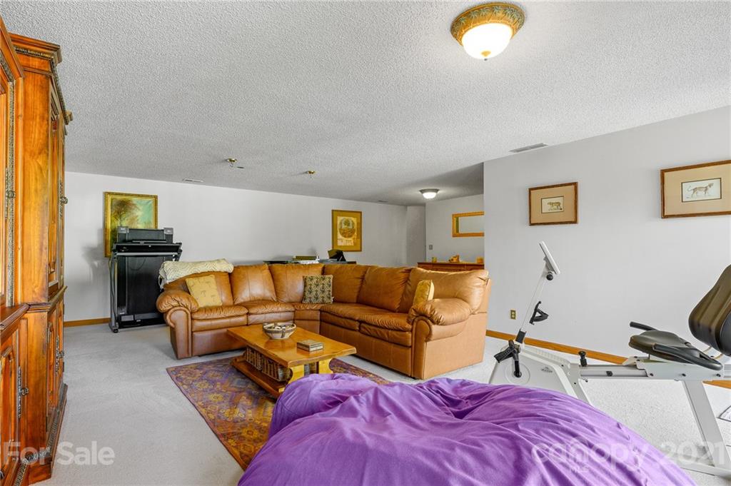 677 Case Cove Road Candler, NC 28715 - Photo 22 of 36 Gallery Image 22