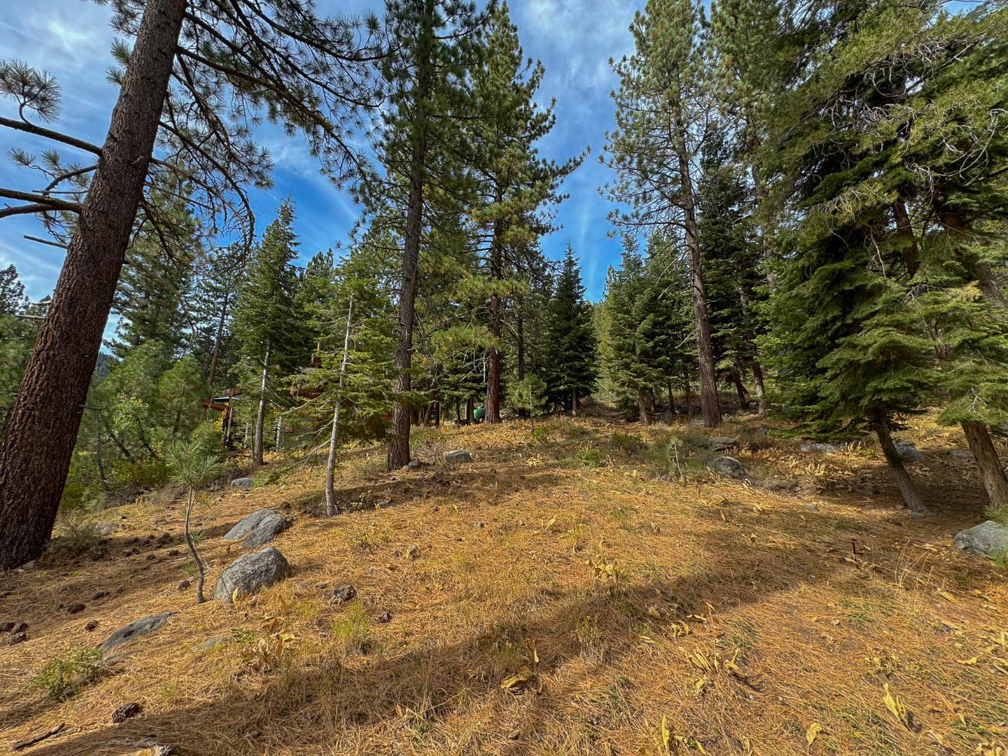 174 Tiger Tail Road Olympic Valley, CA 96146 - Photo 3 of 28 Gallery Image 3