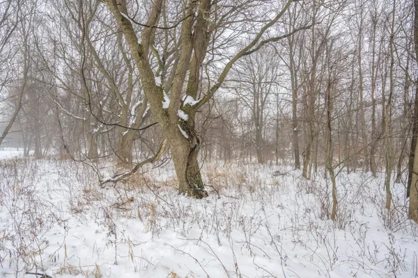 $950,000 | W10802 Blackhawk Trail, Fox Lake, WI 53933