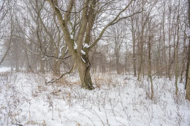 $950,000 | W10802 Blackhawk Trail, Fox Lake, WI 53933