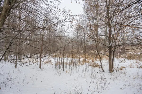 $950,000 | W10802 Blackhawk Trail, Fox Lake, WI 53933