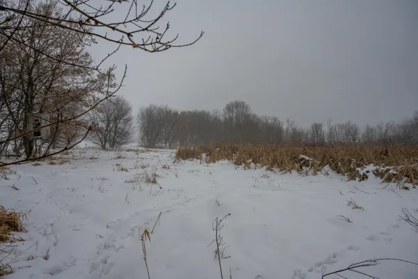 $950,000 | W10802 Blackhawk Trail, Fox Lake, WI 53933