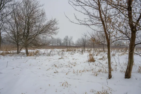 $950,000 | W10802 Blackhawk Trail, Fox Lake, WI 53933