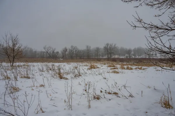 $950,000 | W10802 Blackhawk Trail, Fox Lake, WI 53933