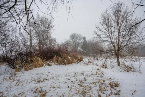 $950,000 | W10802 Blackhawk Trail, Fox Lake, WI 53933