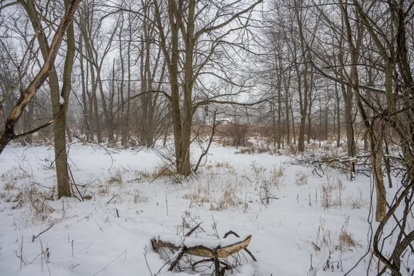 $950,000 | W10802 Blackhawk Trail, Fox Lake, WI 53933