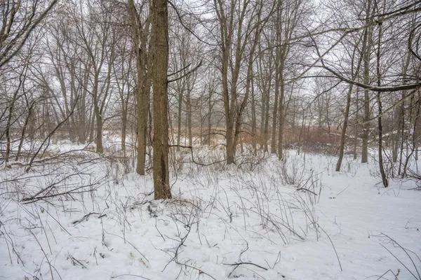 $950,000 | W10802 Blackhawk Trail, Fox Lake, WI 53933