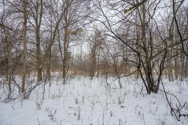 $950,000 | W10802 Blackhawk Trail, Fox Lake, WI 53933