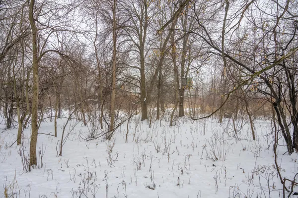 $950,000 | W10802 Blackhawk Trail, Fox Lake, WI 53933