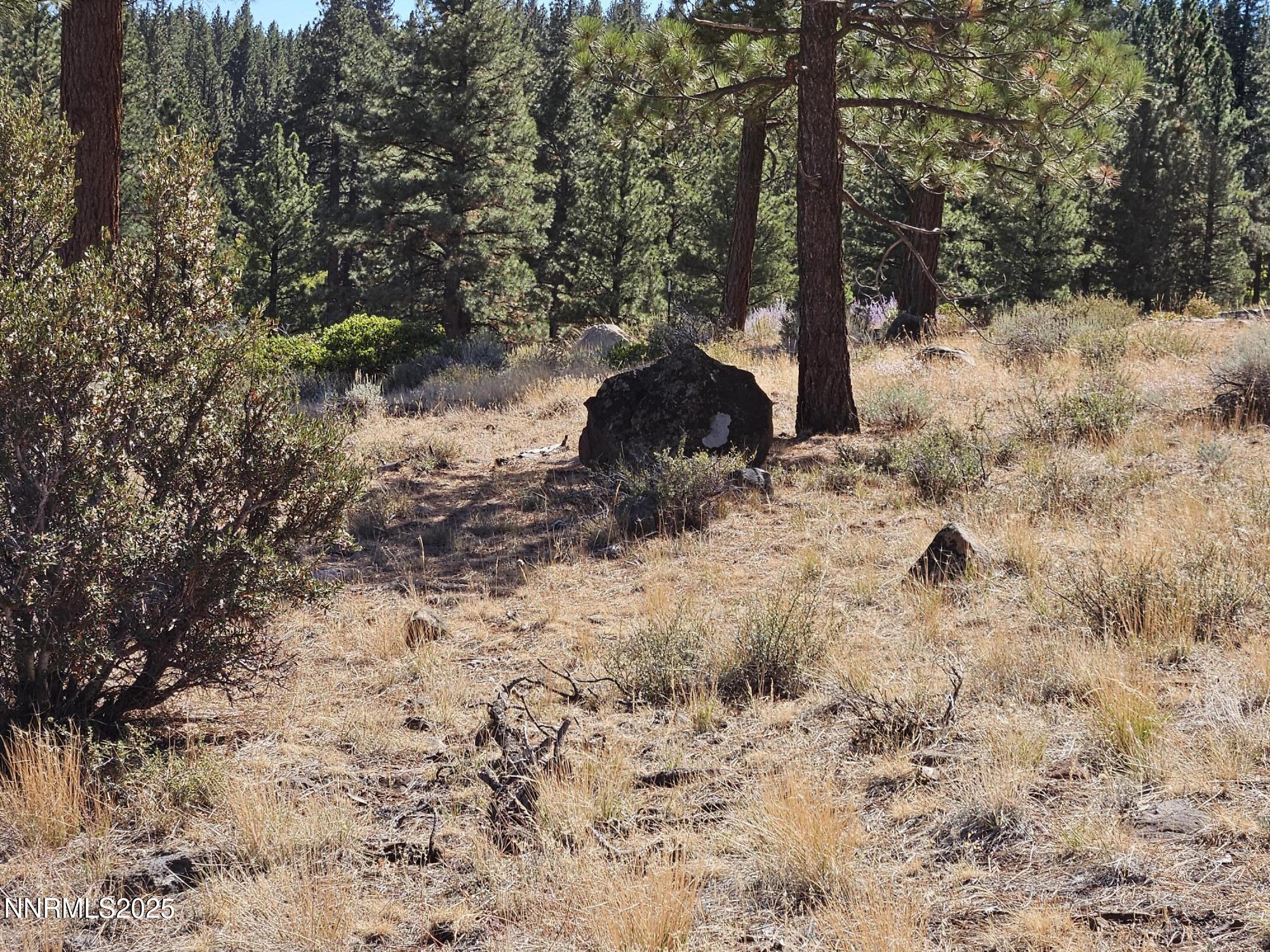 95 Bennington Court, Unit 330 Reno, NV 89511 - Photo 20 of 25