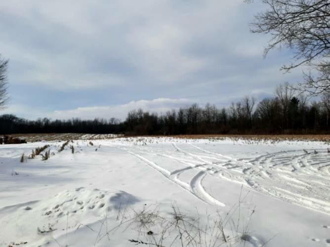 435 Brown Road, Unit PARCEL B Bailey, MI 49303 - Photo 1 of 4 Resized_20210126_1005151