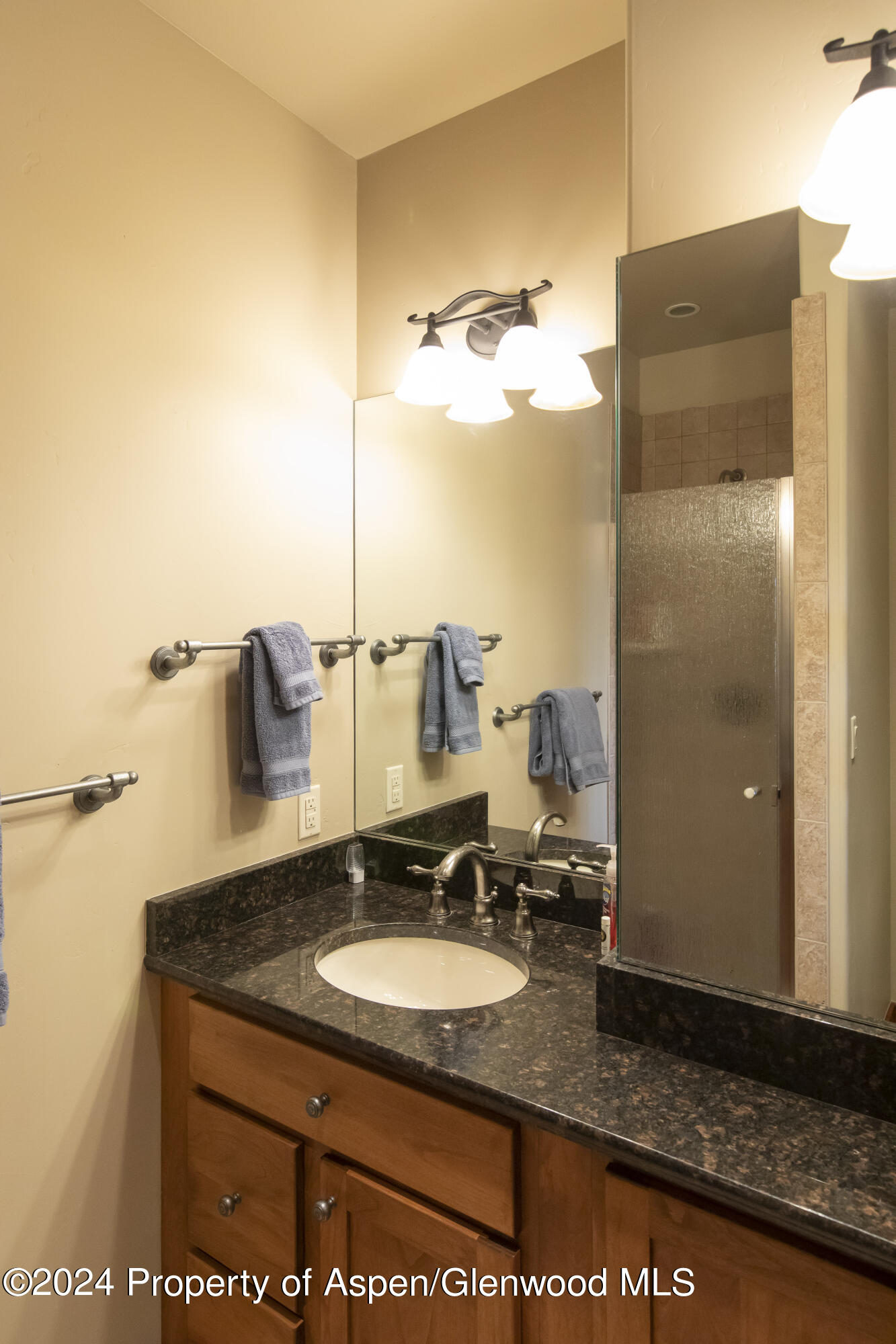 1124 Heritage Drive Carbondale, CO 81623 - Photo 32 of 37 HalWilliams2020-3207