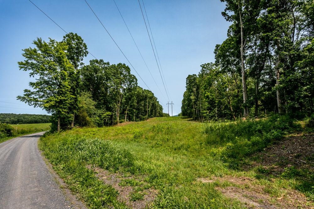 0 Piney Woods Road Timberville, VA 22853 - Photo 2 of 6 a view of a yard with plants