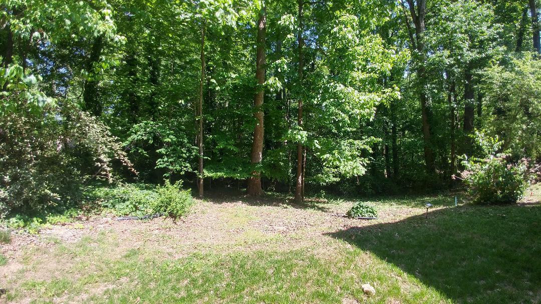 113 Newell Lane Oak Ridge, TN 37830 - Photo 26 of 26 thumbnail (7)
