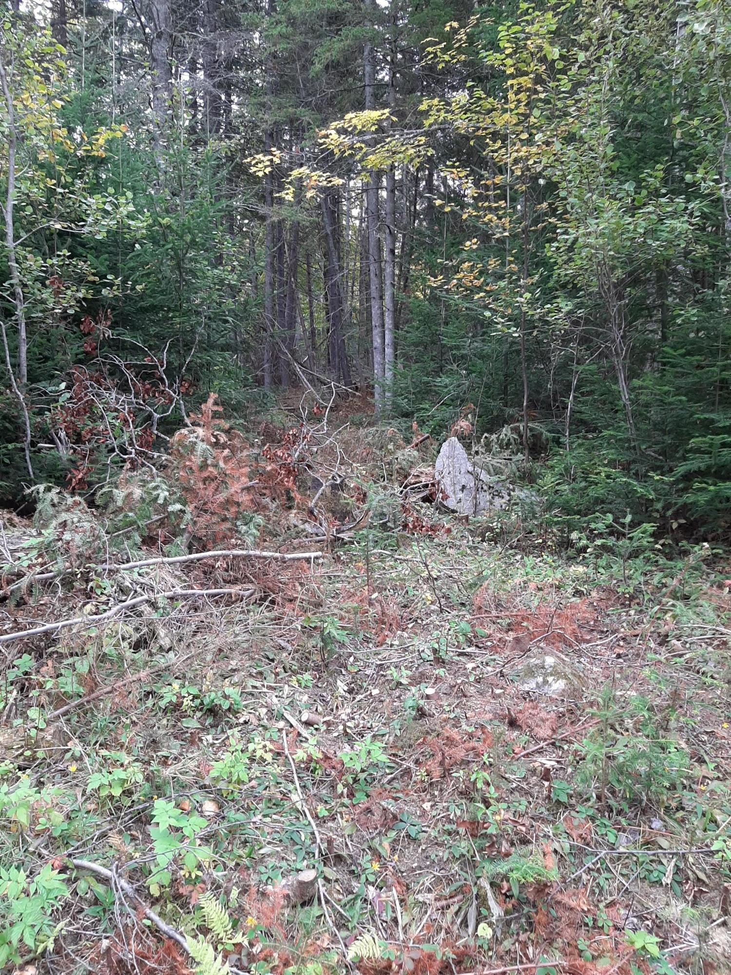 65 A Dallas Hill Road Dallas Plt, ME 04970 - Photo 1 of 18 003