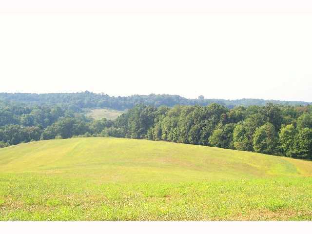 4730 Fostor Road, Unit LOT 3 Dresden, OH 43821 - Photo 1 of 3 Gallery Image 1