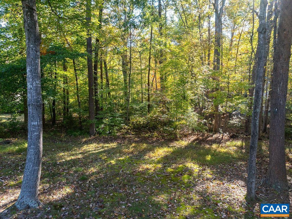 17 Hatchechubee Road Palmyra, VA 22963 - Photo 54 of 58 Gallery Image 54