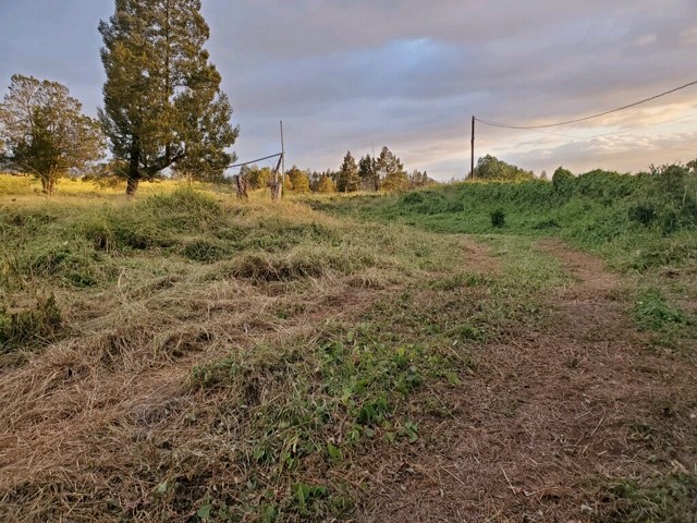 373 Naalae Road Kula, HI 96790 - Photo 13 of 17 Gallery Image 13