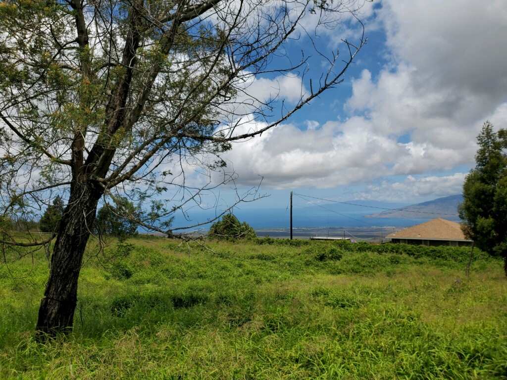 373 Naalae Road Kula, HI 96790 - Photo 14 of 17 Gallery Image 14