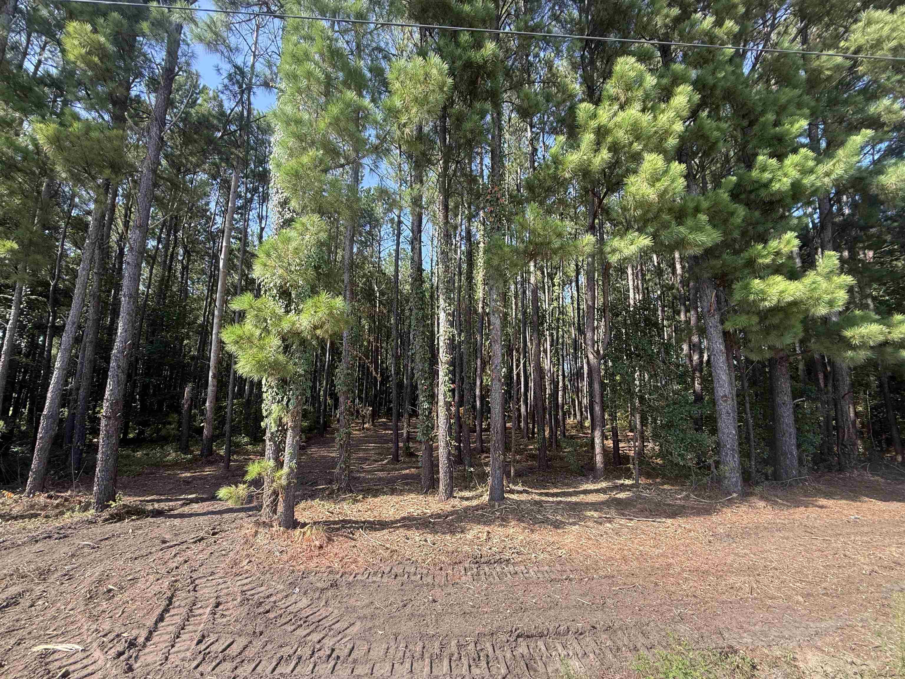 Tbd Pasture Road Aynor, SC 29511 - Photo 2 of 3 Gallery Image 2