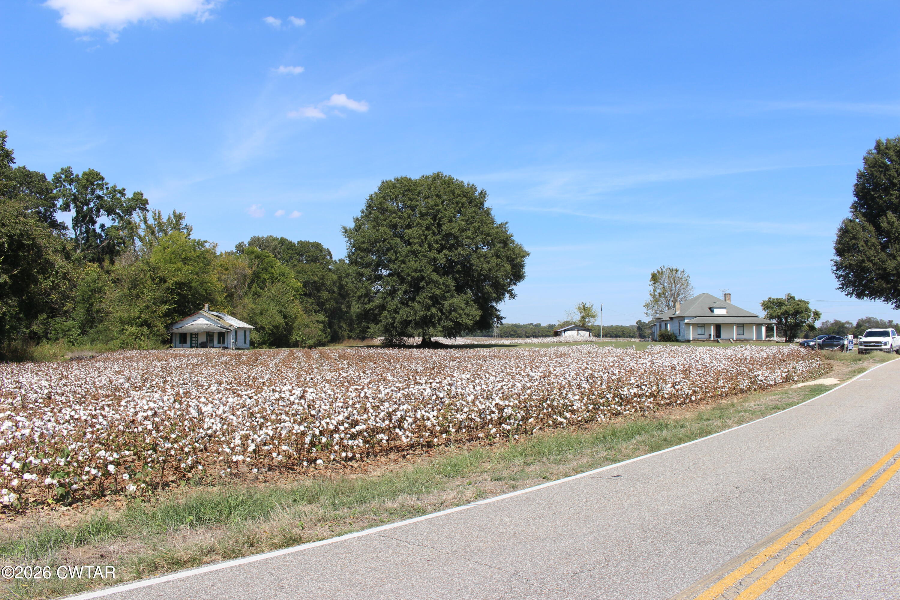 353 Cotton Grove Road Jackson, TN 38305 - Photo 7 of 12 IMG_0116