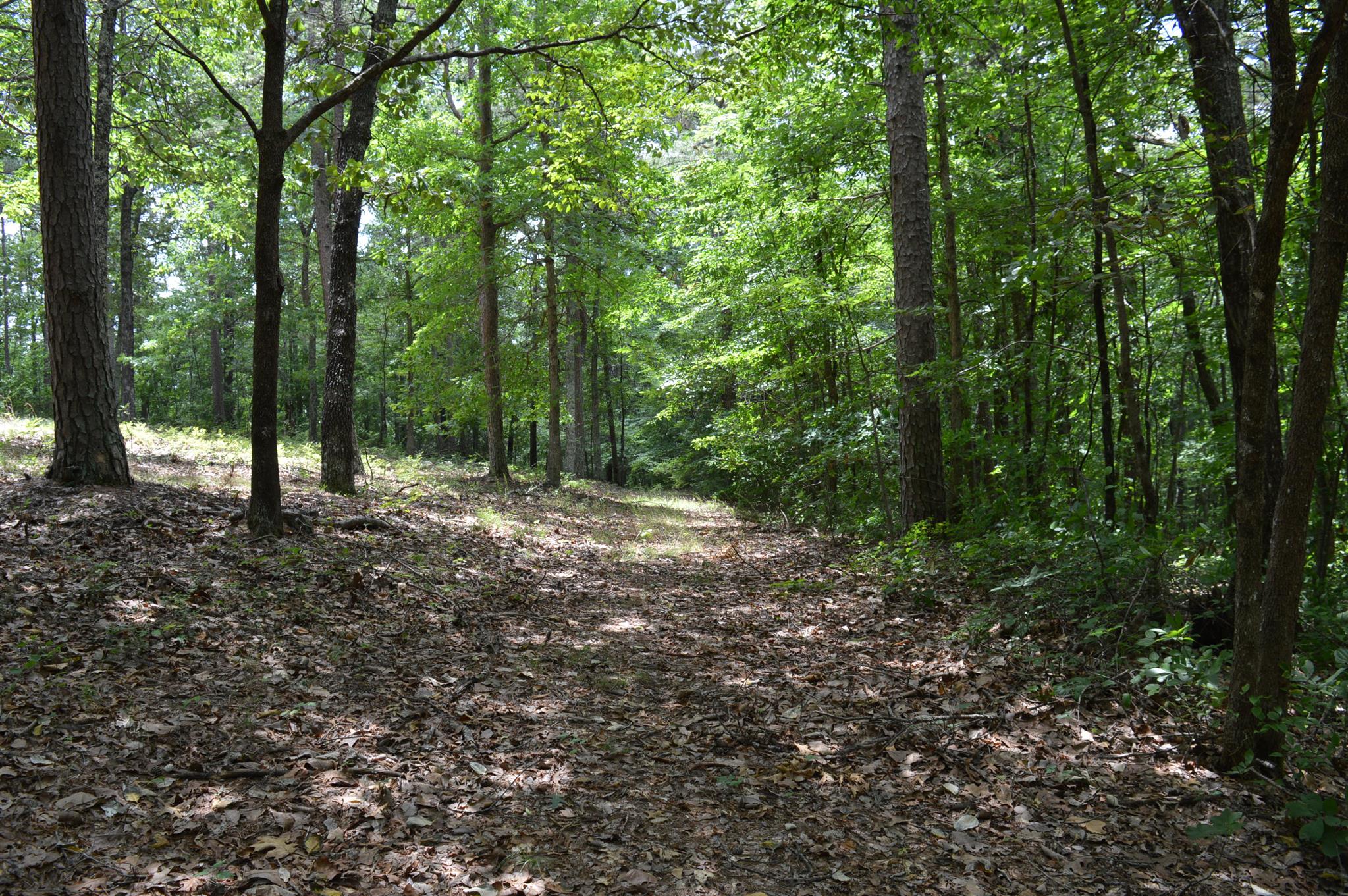 1639 Jackson Point Road Sewanee, TN 37375 - Photo 16 of 18 Gallery Image 16