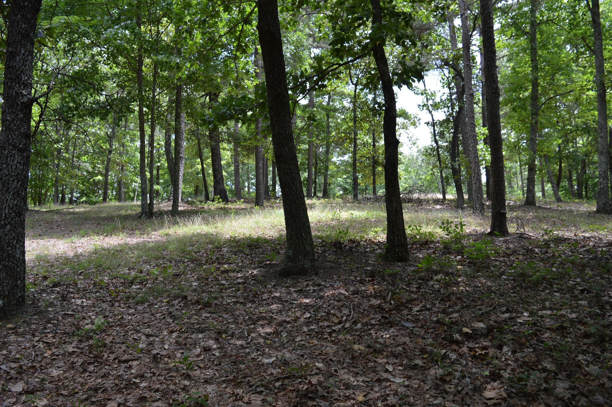 1639 Jackson Point Road Sewanee, TN 37375 - Photo 3 of 18 Gallery Image 3