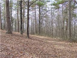 1639 Jackson Point Road Sewanee, TN 37375 - Photo 5 of 18 Gallery Image 5