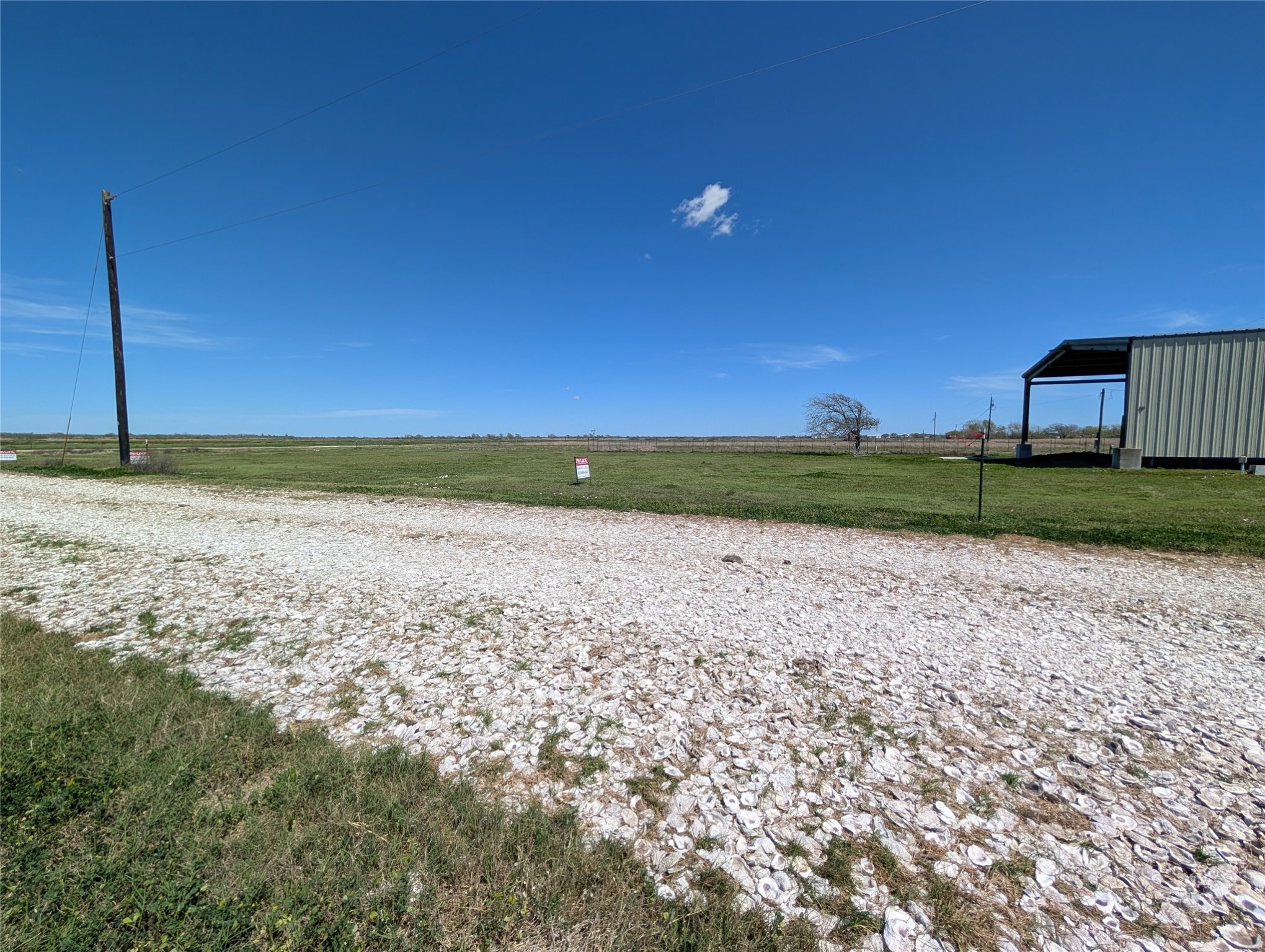 a view of a field with a big yard