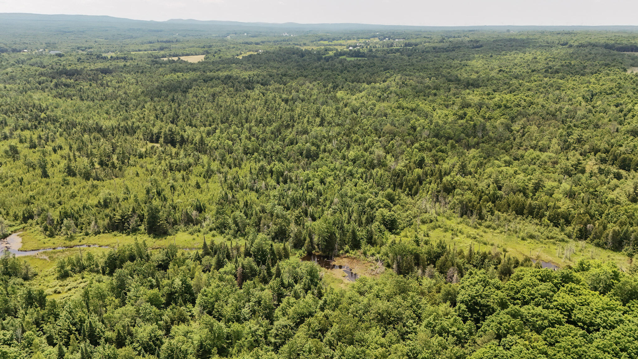 0 Cannon Corners Road Mooers, NY 12958 - Photo 8 of 14 8