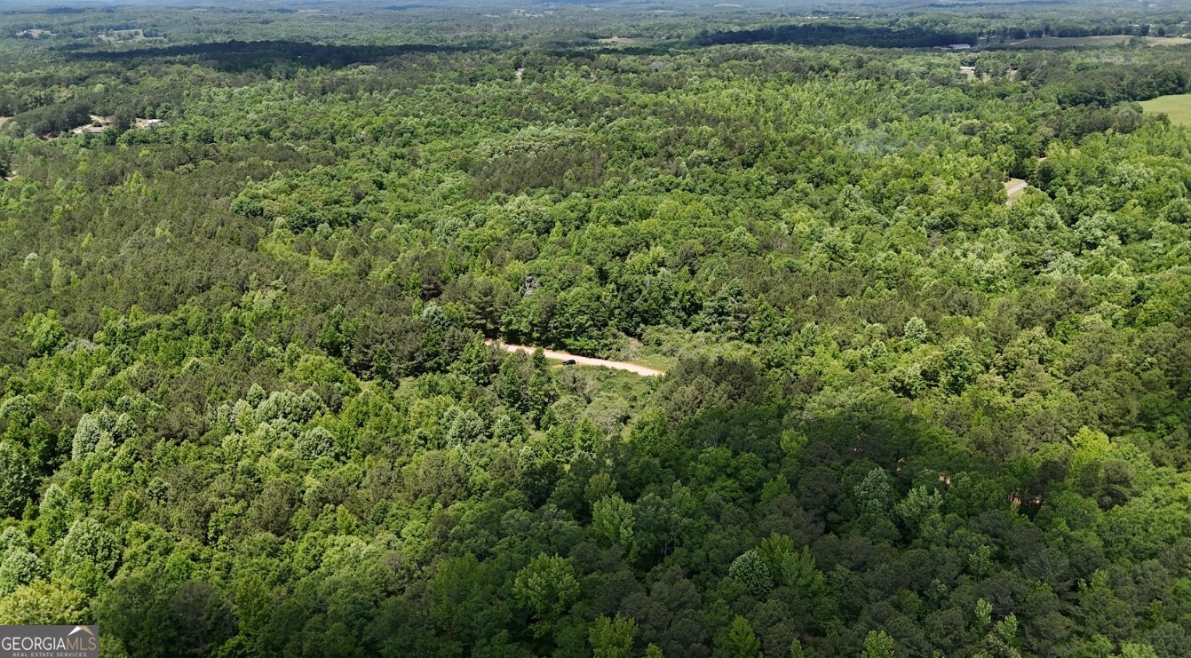 0 Creek Road, Unit LOT 8 Ashland, AL 36251 - Photo 14 of 25