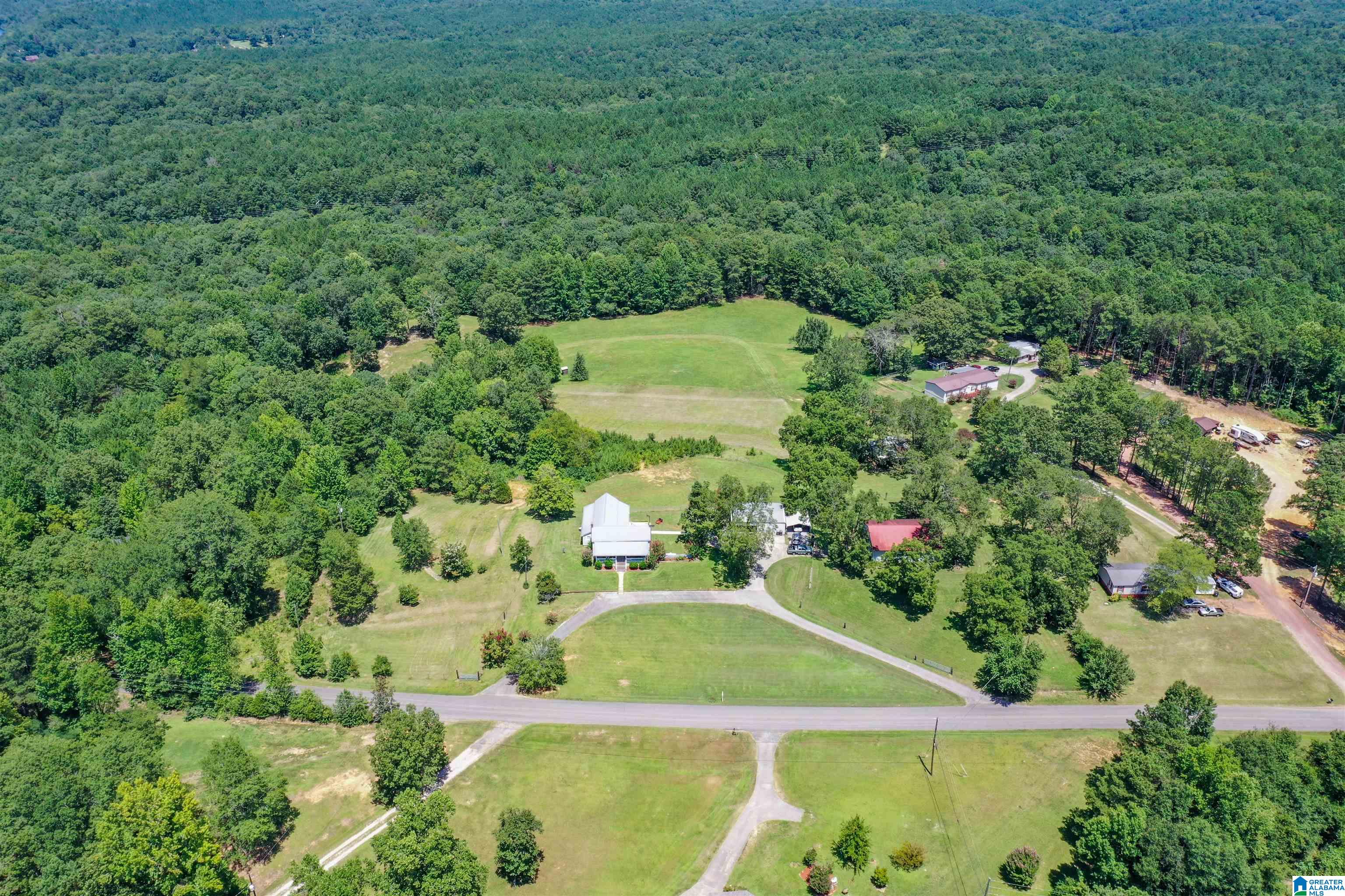 939 Buddy Vines Camp Road Bessemer, AL 35023 - Photo 61 of 79
