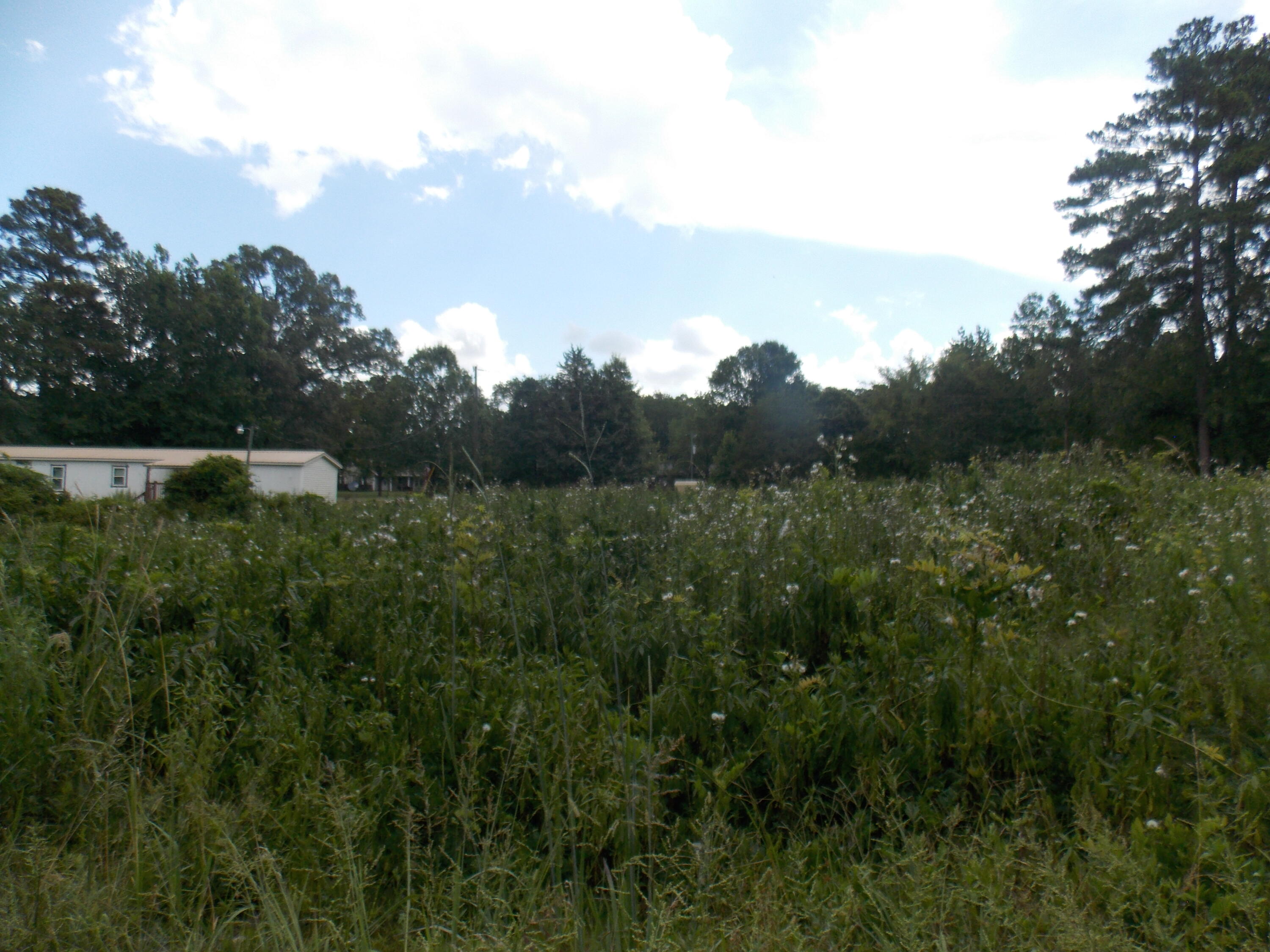 0 Chamberlain S Ferry Road Lincolnton, GA 30817 - Photo 2 of 5 DSCN3420