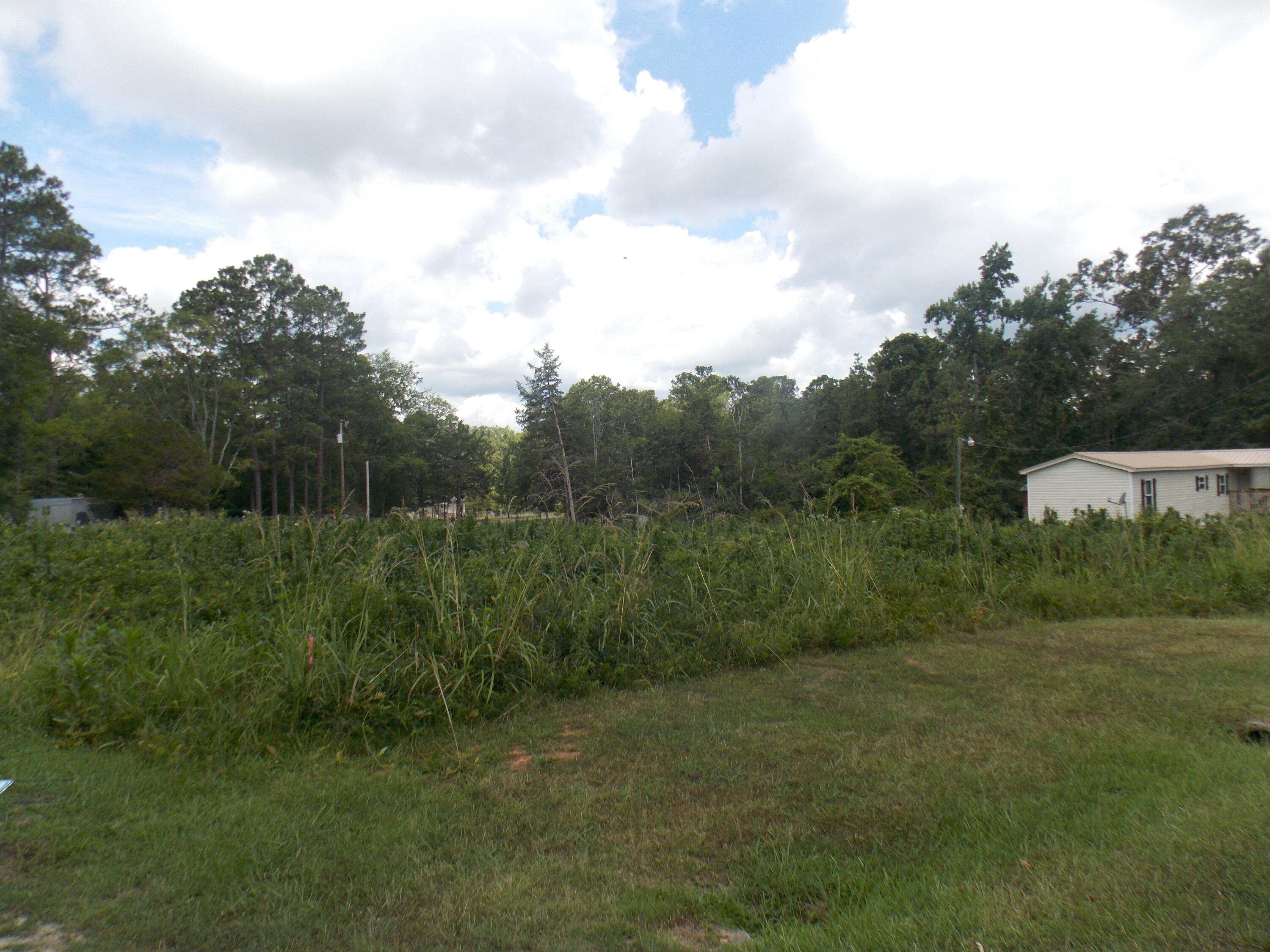 0 Chamberlain S Ferry Road Lincolnton, GA 30817 - Photo 3 of 5 DSCN3422