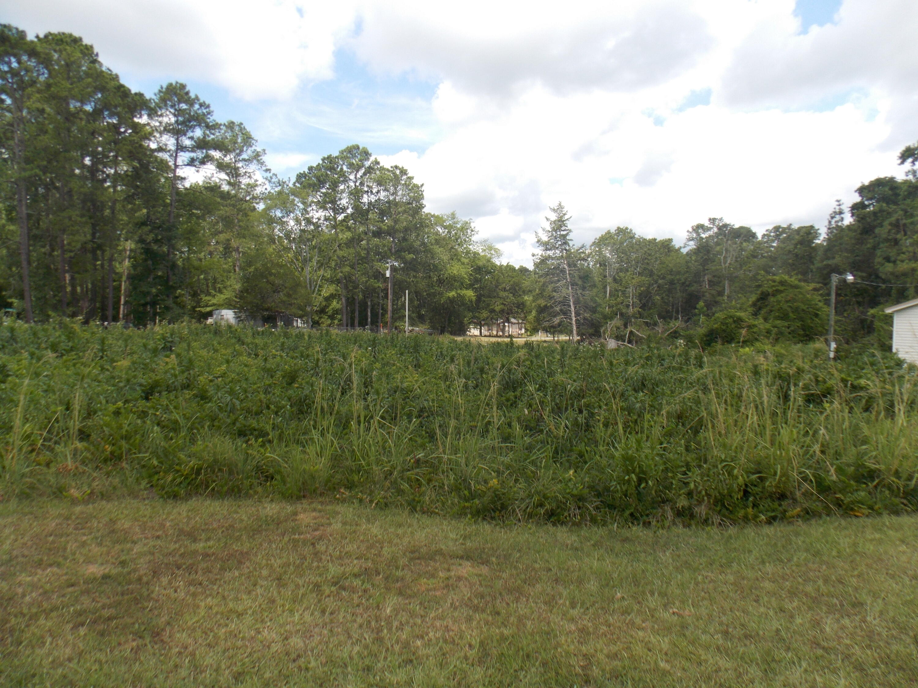 0 Chamberlain S Ferry Road Lincolnton, GA 30817 - Photo 4 of 5 DSCN3423