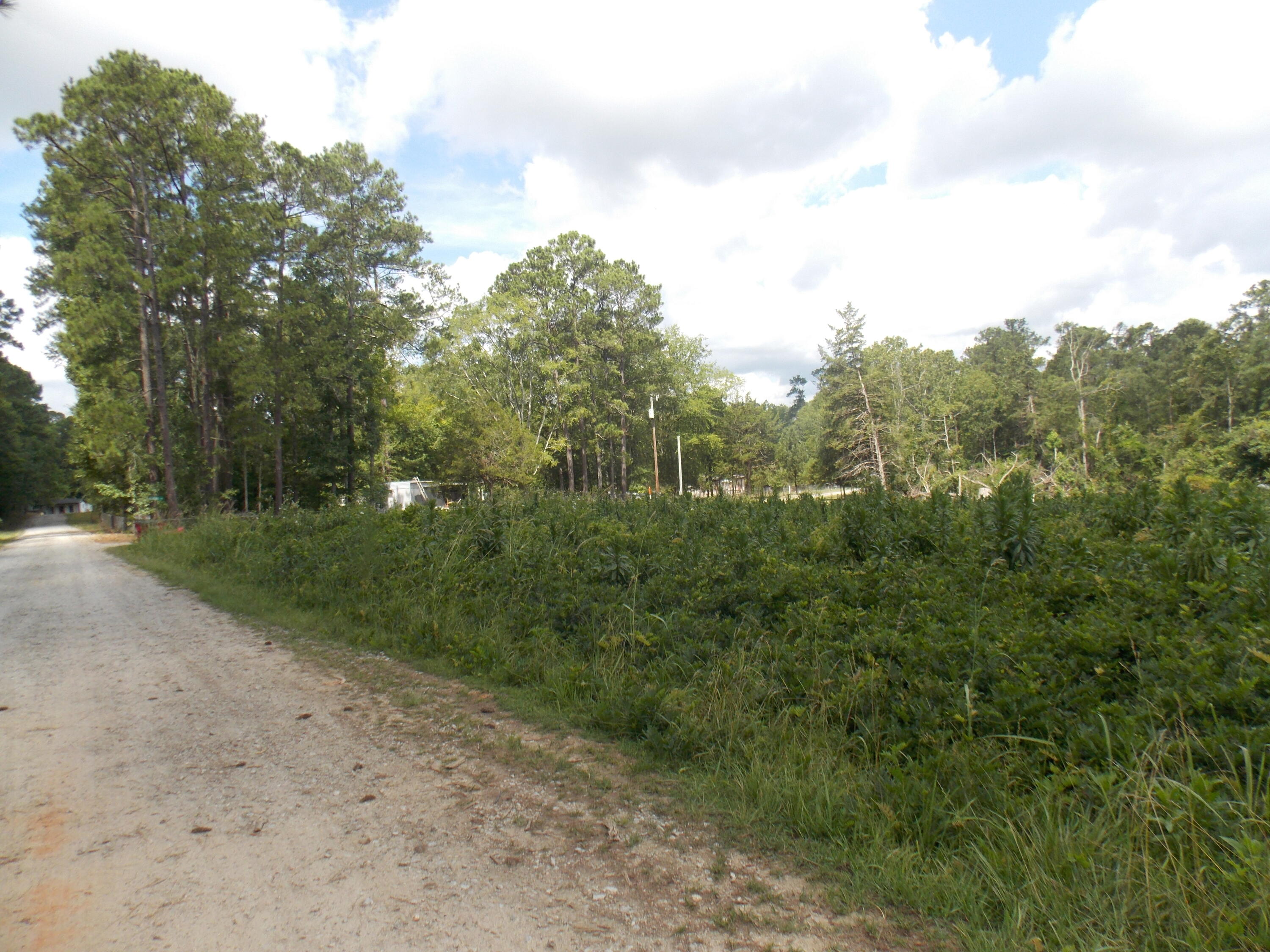 0 Chamberlain S Ferry Road Lincolnton, GA 30817 - Photo 5 of 5 DSCN3424
