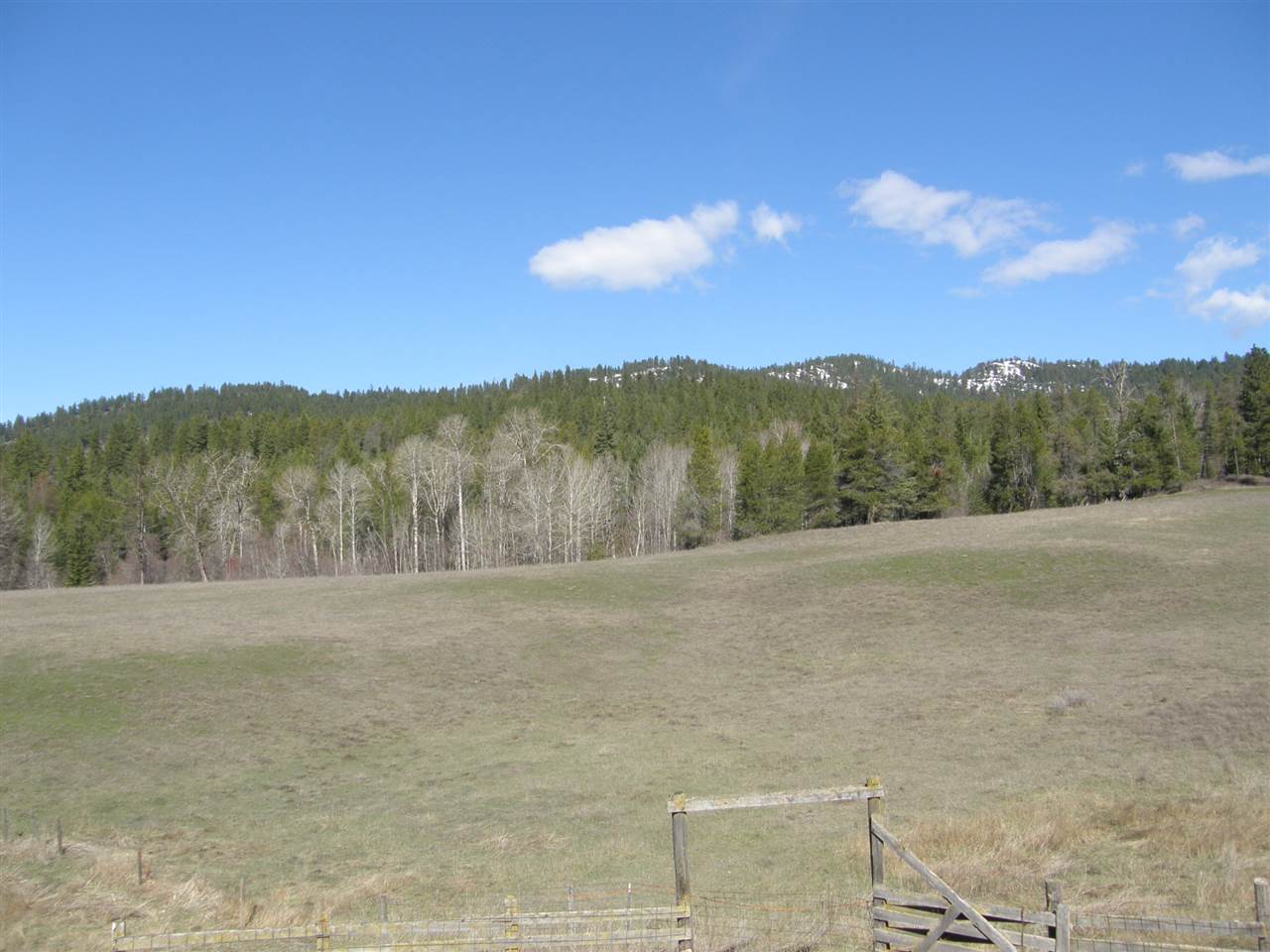 2845 A Burnt Valley Road Chewelah, WA 99109 - Photo 14 of 20 Gallery Image 14