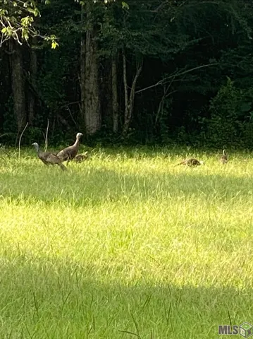 $445,000 | 171 Wendy Bend Lane, Pine Grove, LA 70453