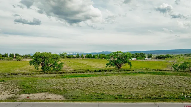 a view of a lake with a big yard